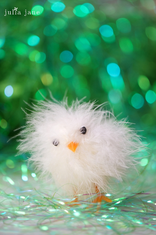 still life photography by connecticut photographer julia jane studios